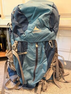 Gregory Teal and Navy Travel Backpack Z35